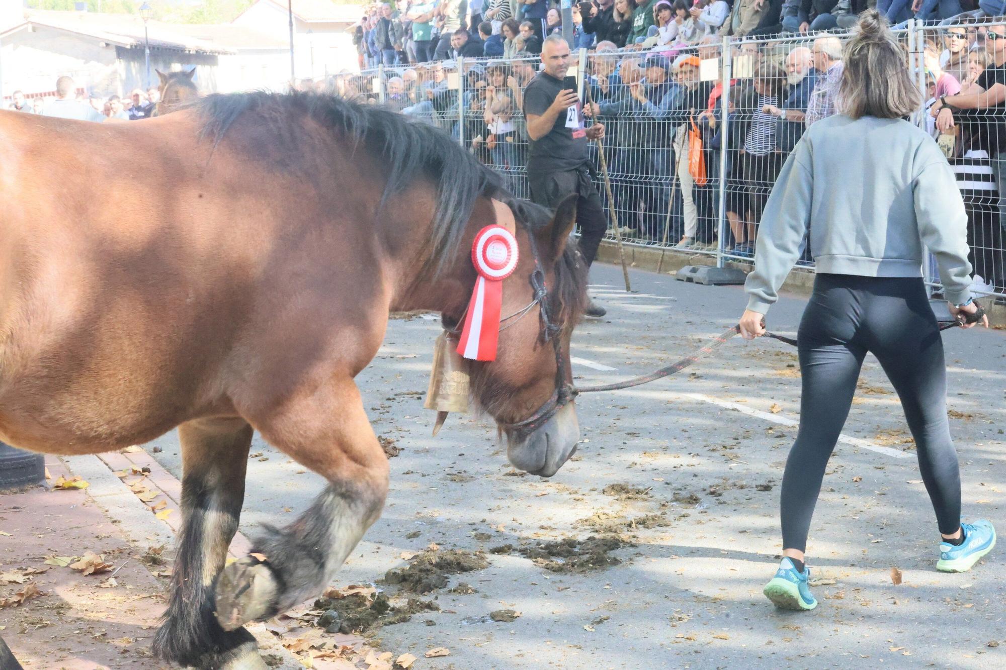 En imágenes: Miles de personas disfrutan de la 630 edición de la feria de Agurain