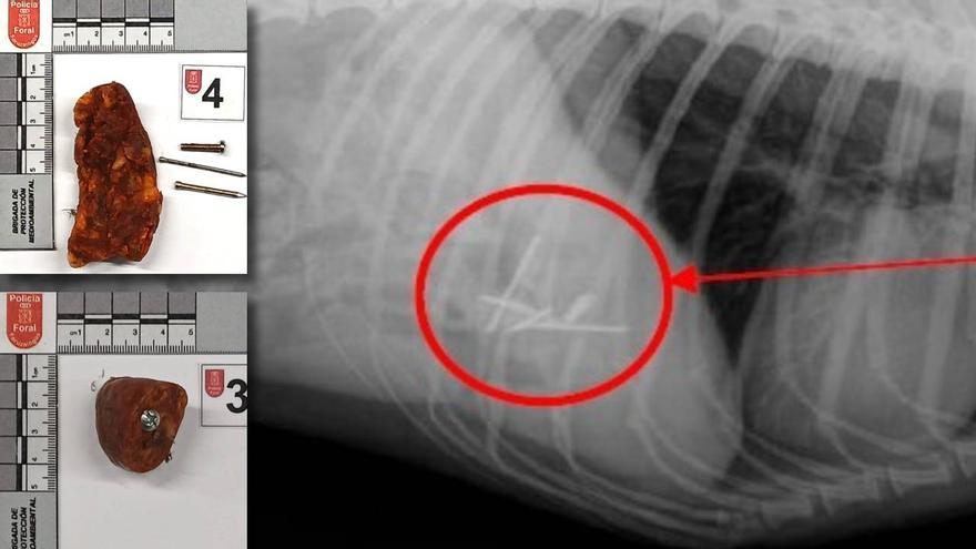 Identificado el presunto autor de cebos dañinos para animales en la Comarca de Pamplona