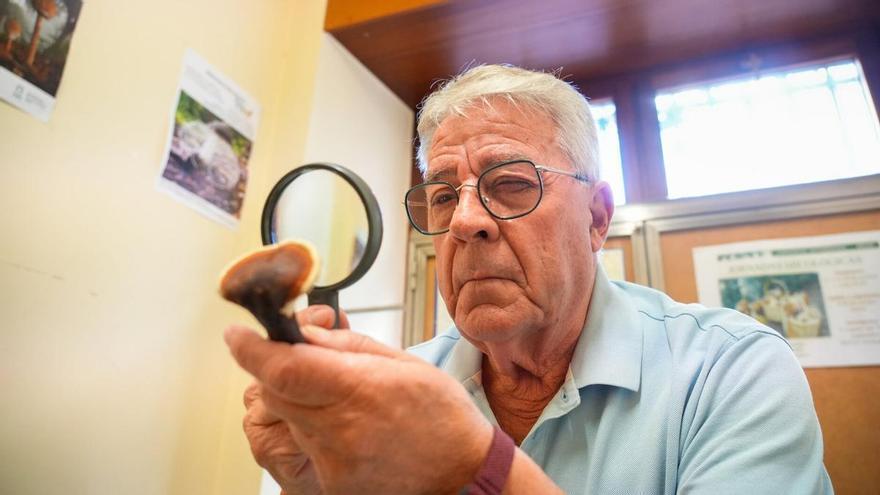 &quot;Me he tirado hasta 12 horas en el monte viendo el crecimiento de una seta&quot;