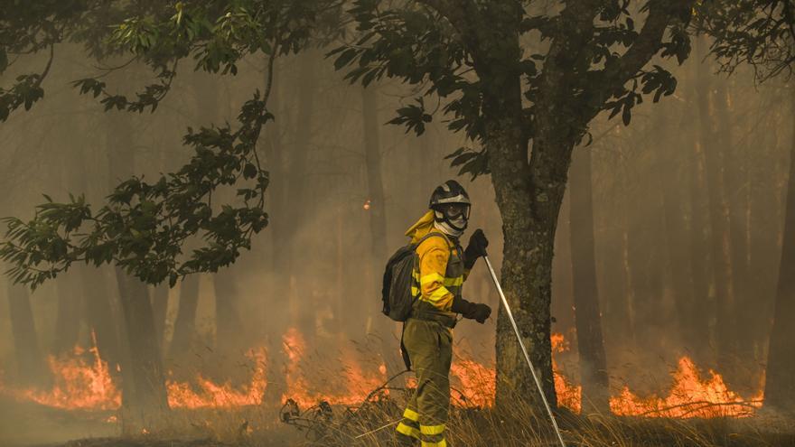 La población mundial expuesta a los incendios ha aumentado un 40% en lo que va de siglo