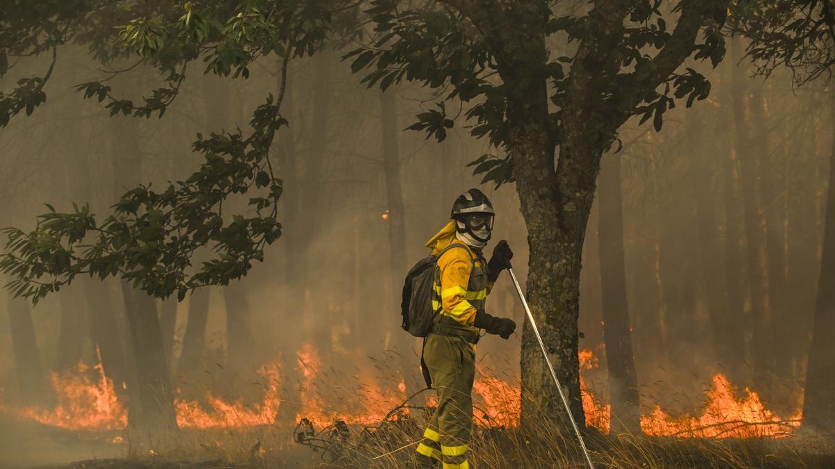Incendios en Ourense: labores de extinción en un nuevo fuego declarado en A Gudiña