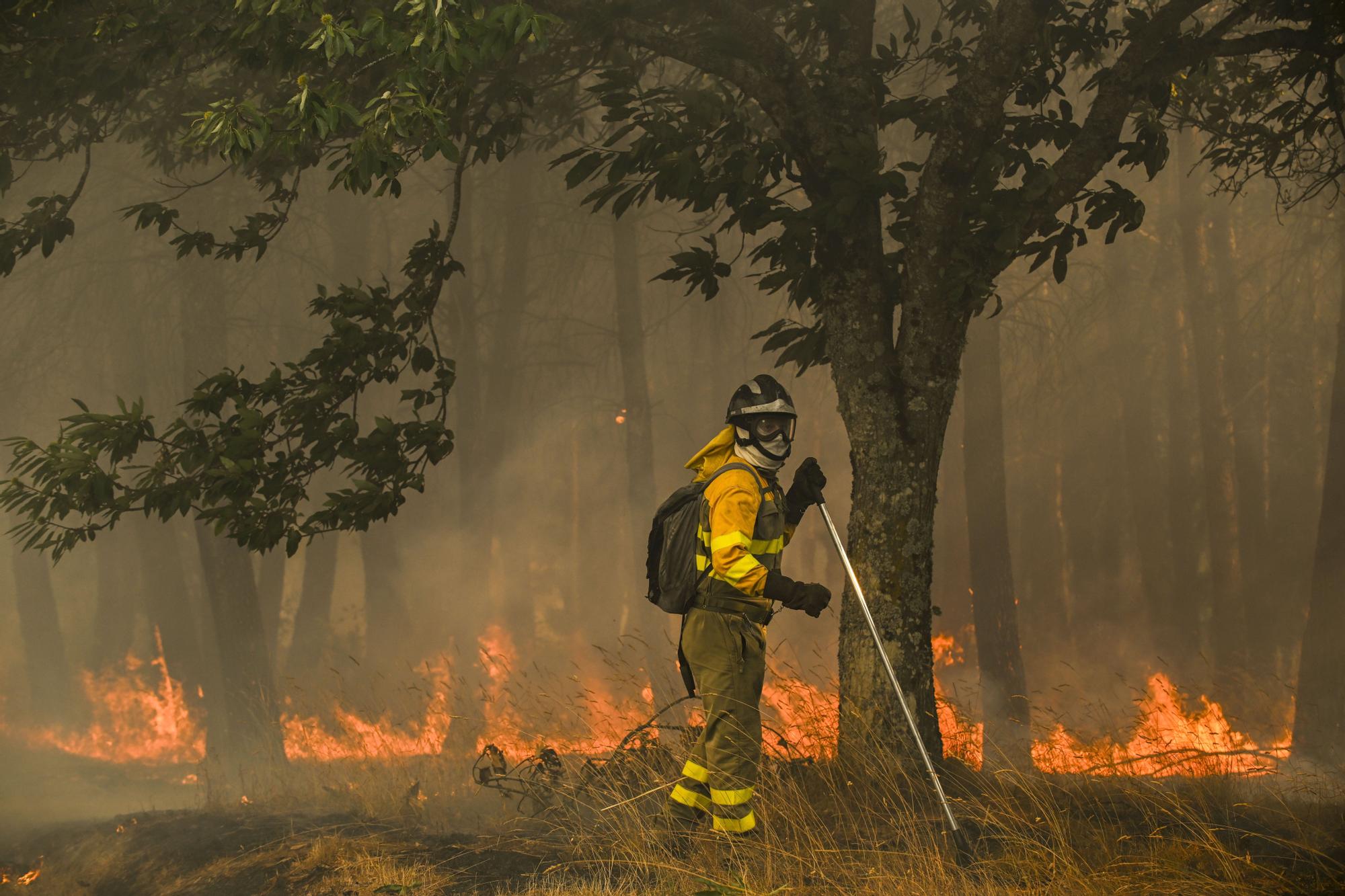 Incendios en Ourense: labores de extinción en un nuevo fuego declarado en A Gudiña