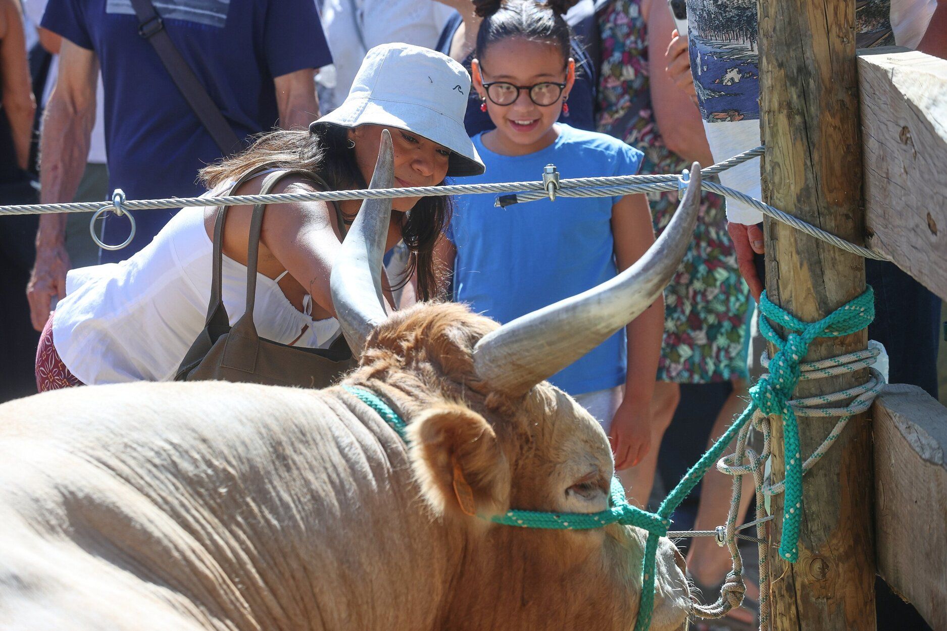 Fotos de la feria de ganado autóctono este sábado en Pamplona