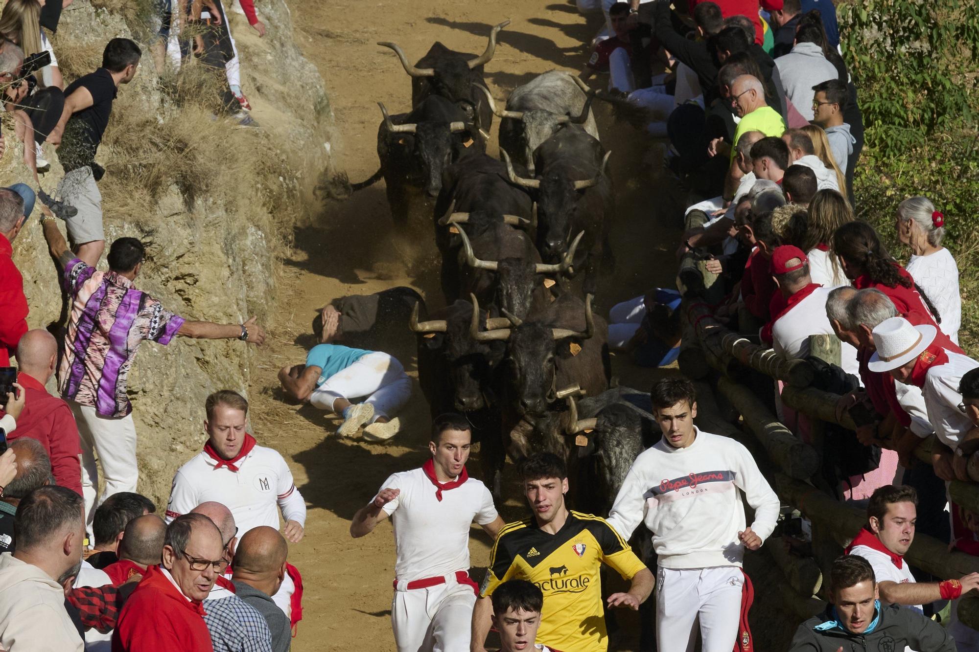 Fotos del penúltimo encierro del Pilón de Falces 2025