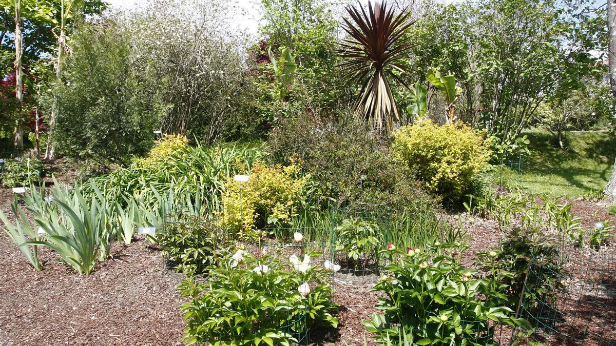 Jardin botanico de Iturraran.
