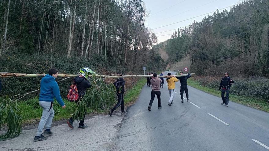 Okondo llama a la buena fortuna con la bajada del árbol desde Otaola