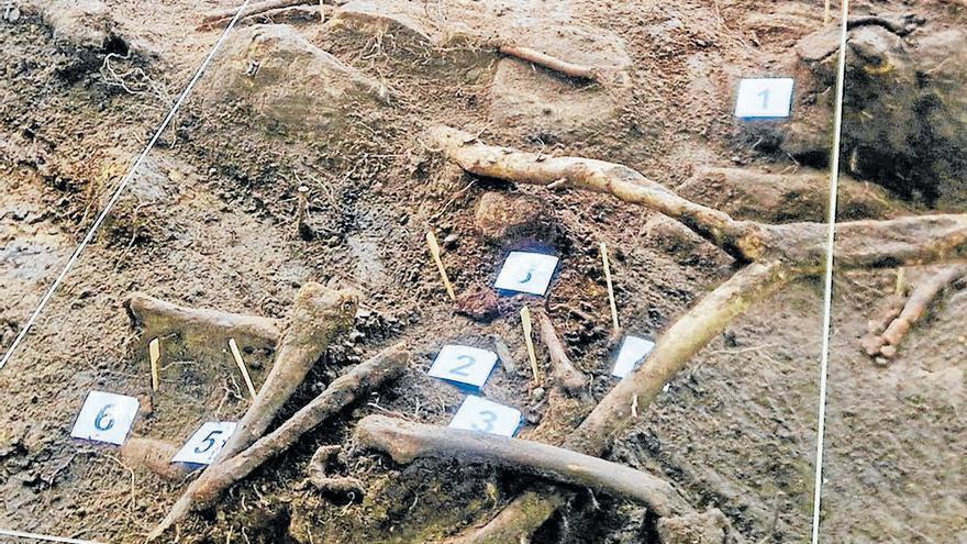 El Pinar de la Muerte devuelve a la vida un disparo mortal de 1937