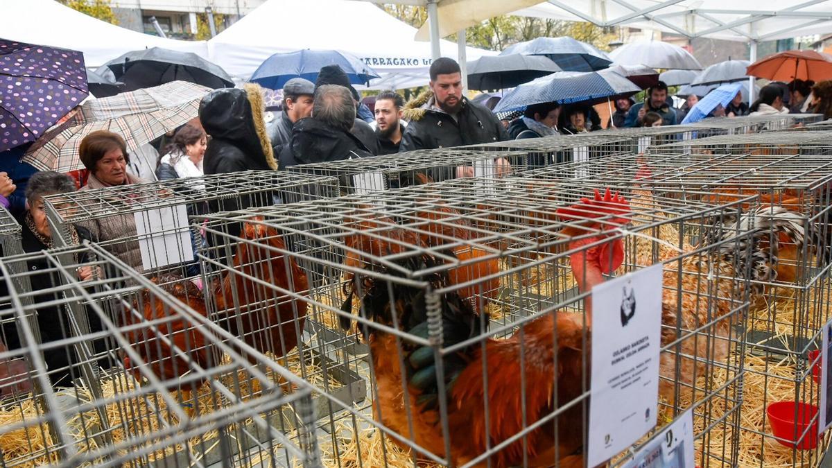 Feria de Santa Lucia Zumarraga Urretxu.