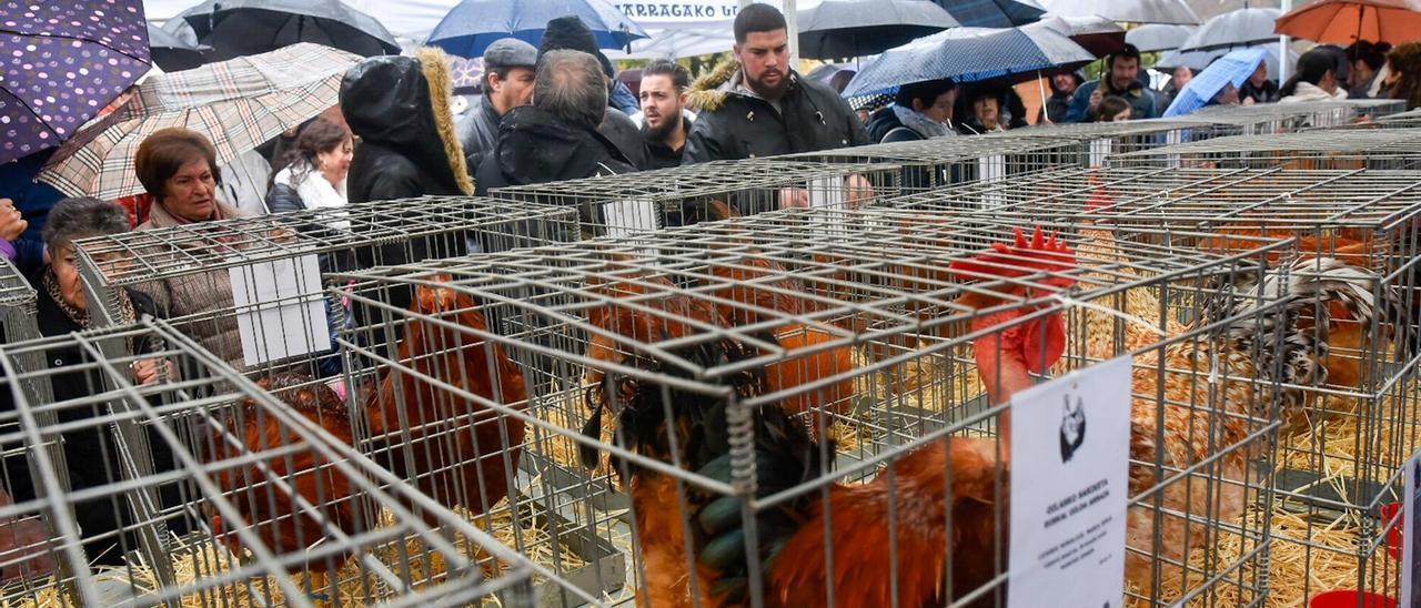 El sábado que viene, Santa