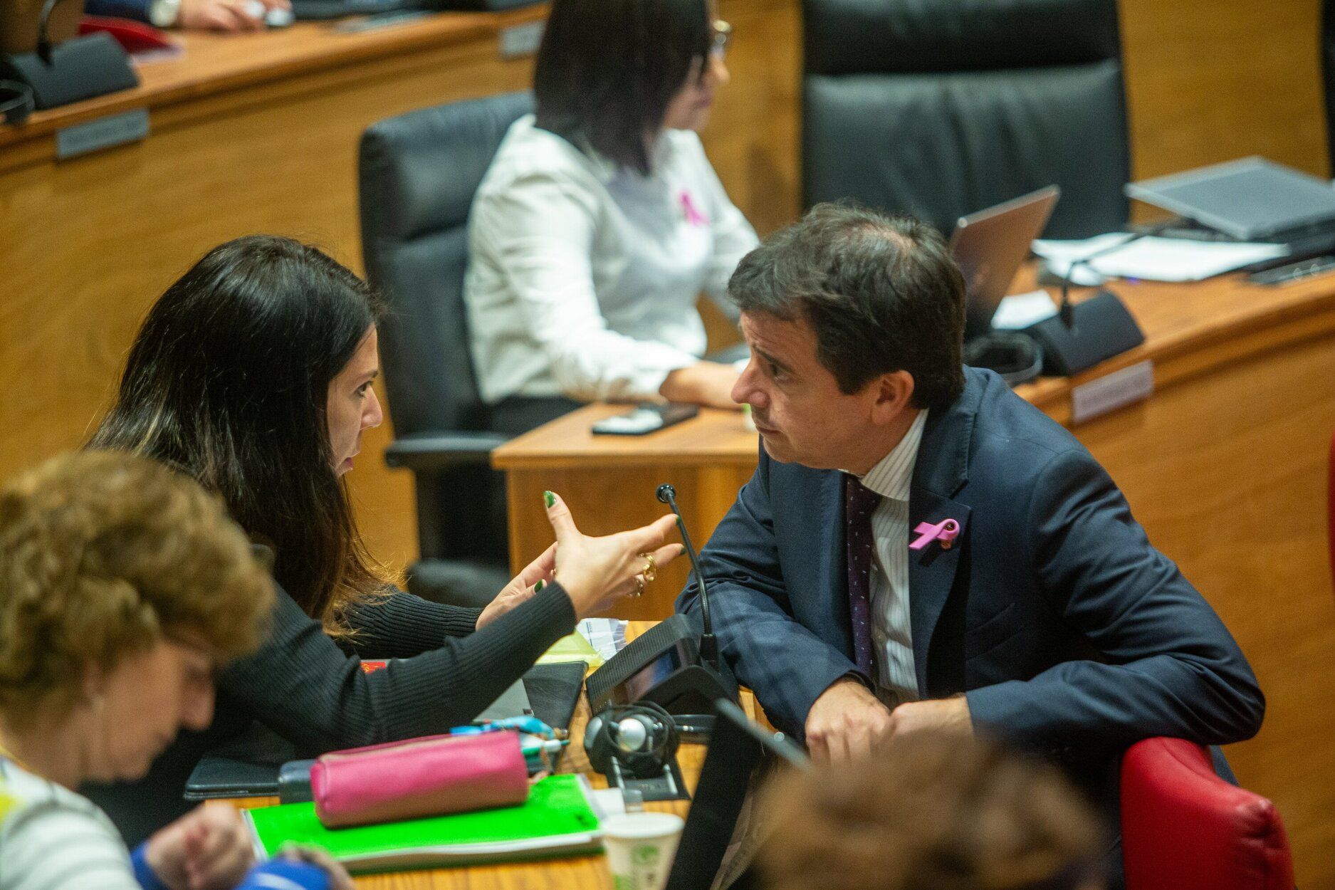 Fotos del pleno del Parlamento de Navarra de este jueves