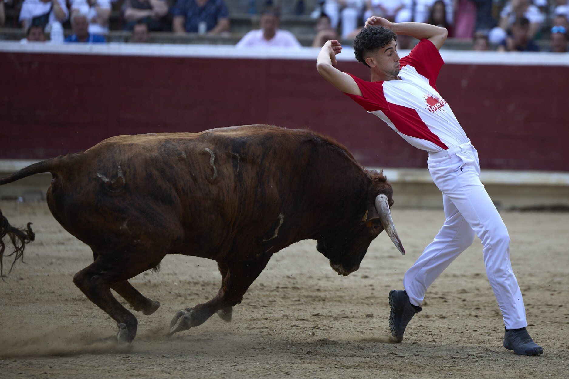 Fotos del concurso de recortadores de fiestas de Tafalla