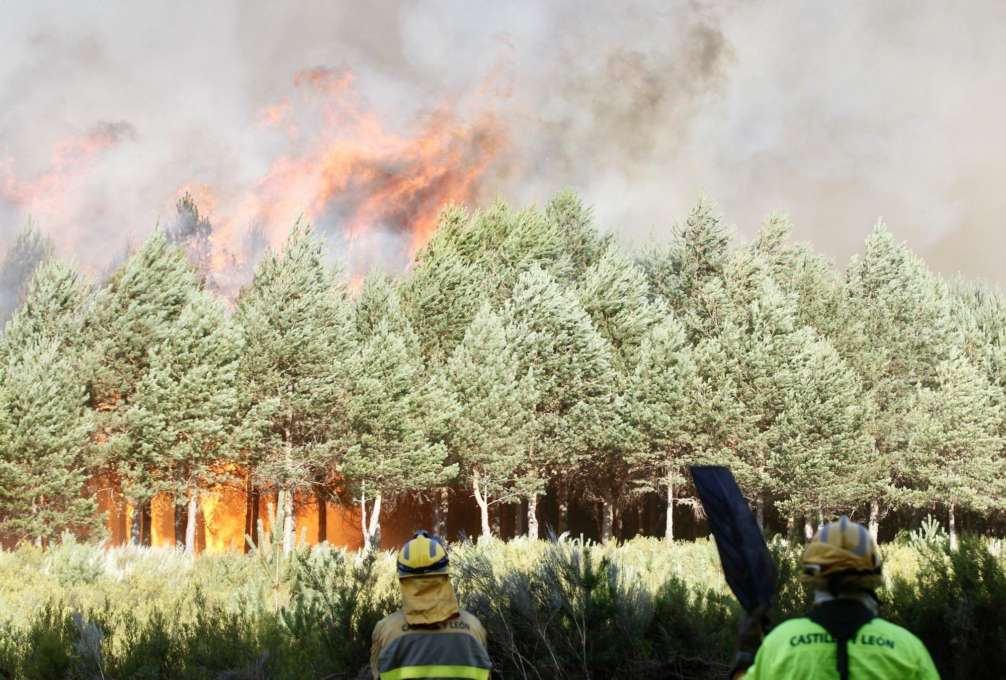 Semana negra de incendios: Cuatro muertos y 120.000 hectáreas quemadas