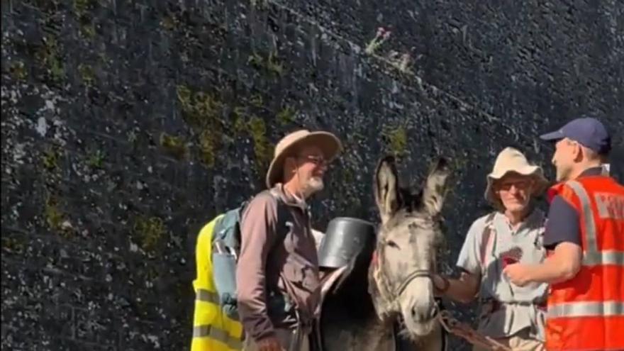 Dos peregrinos con un burro de carga, de vuelta a la altura de Pamplona