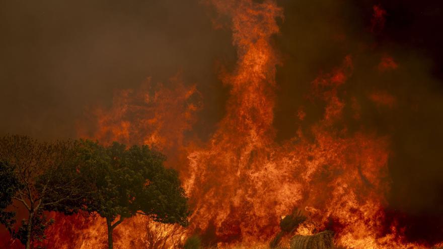 Se elevan a 40 los detenidos por los incendios y se investiga a otras 119 personas