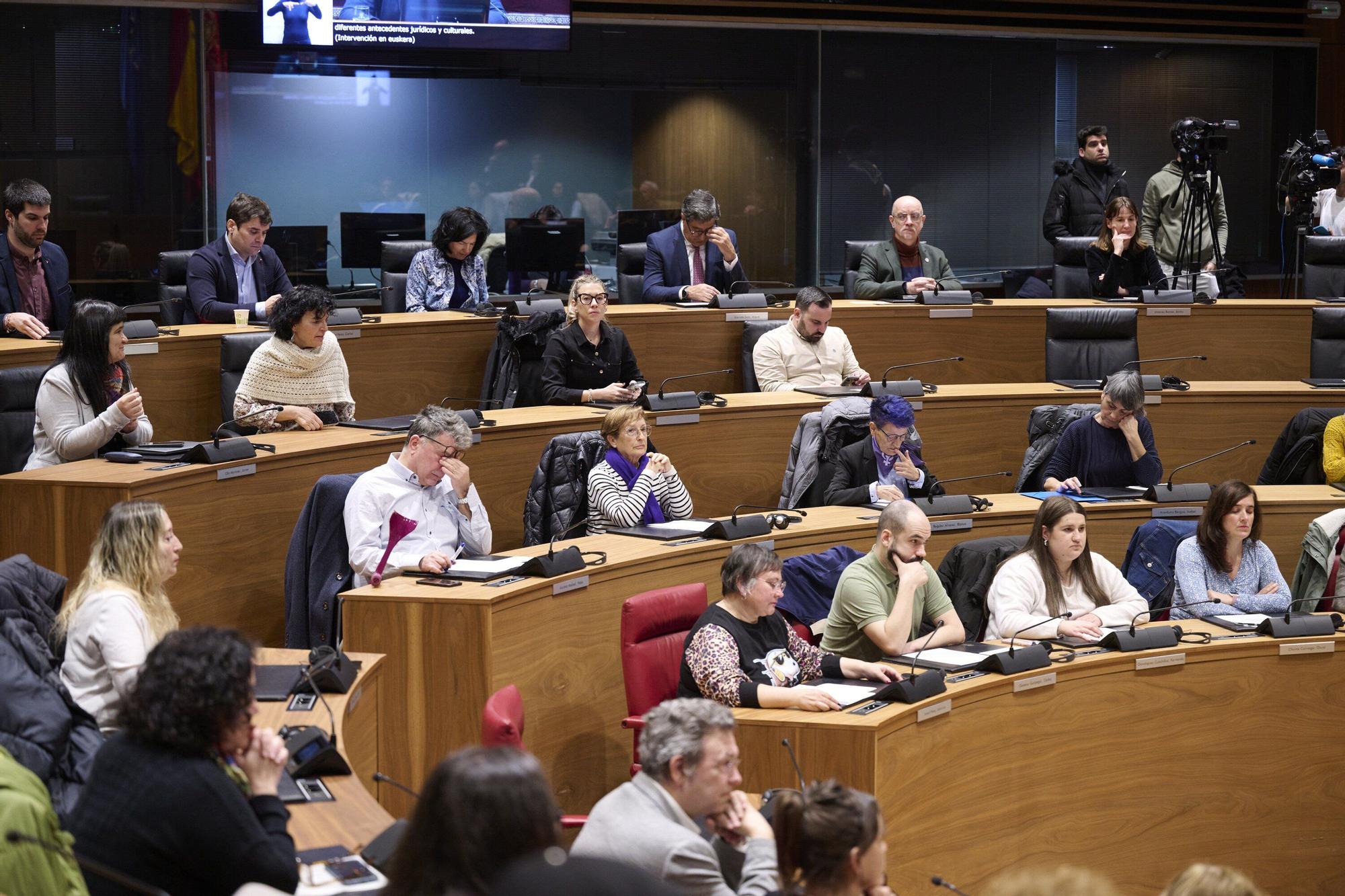 Conmemoración en el Parlamento de Navarra del Día Internacional de los Derechos Humanos