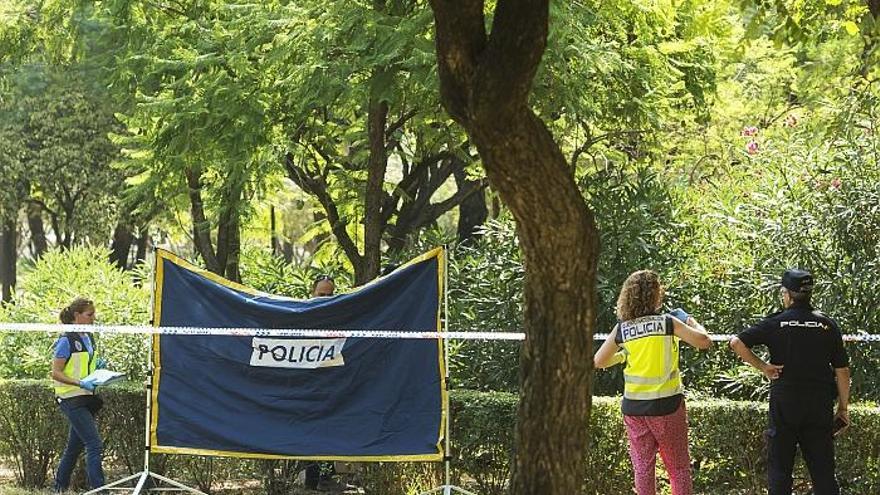 Agentes de Policía Científica y Homicidios de la Policía Nacional inspeccionan el lugar.