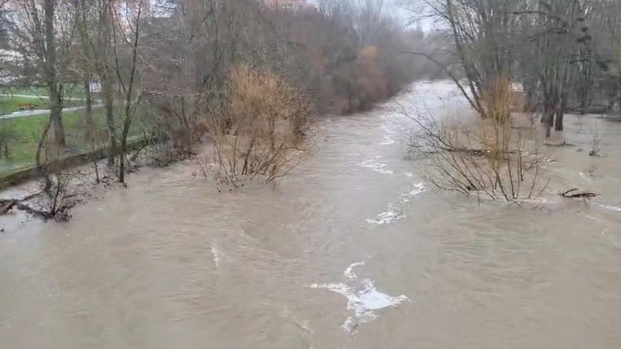Estado del río Arga a su paso por San Jorge
