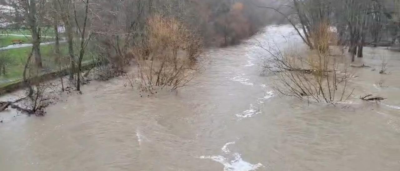 Estado del río Arga a su paso por San Jorge
