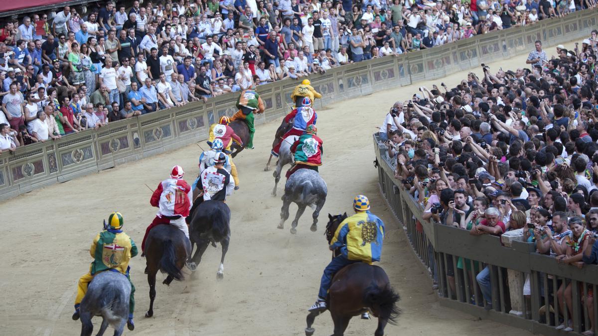Los caballos, en plena carrera.