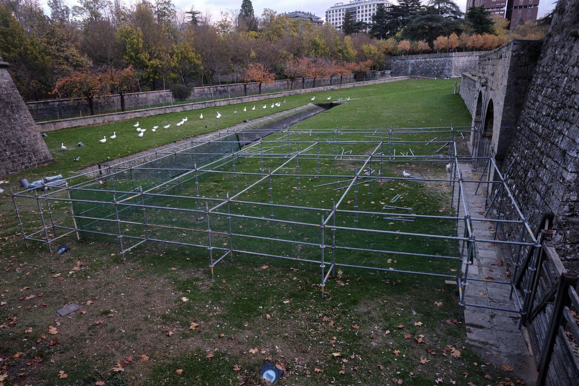 EN FOTOS | Estas son las jaulas que prepara el Ayuntamiento para confinar todas las aves de la Taconera