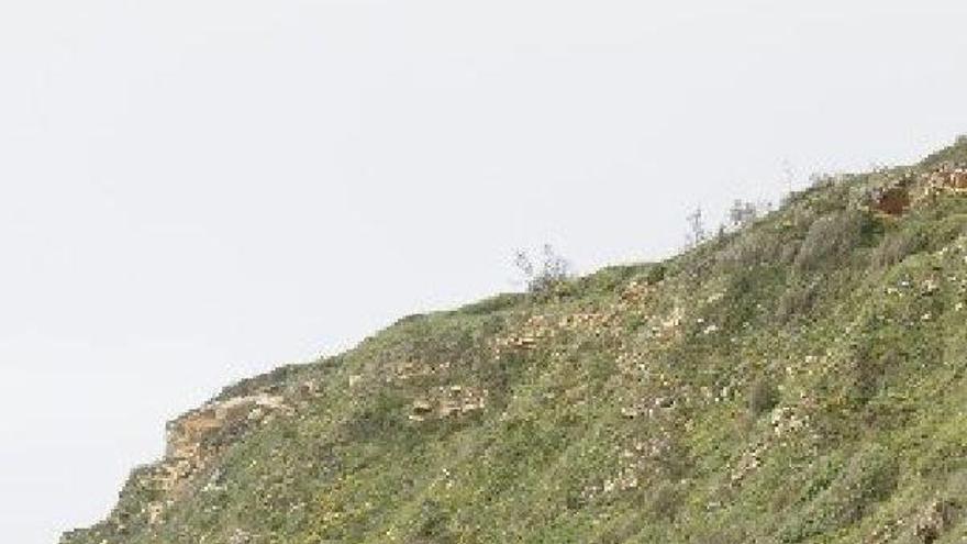 La pasarela cambiante