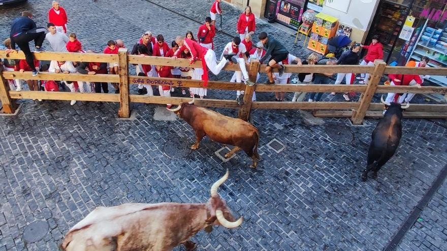 Pocos corredores y buenas carreras en el primer encierro de novillos de fiestas de Estella-Lizarra