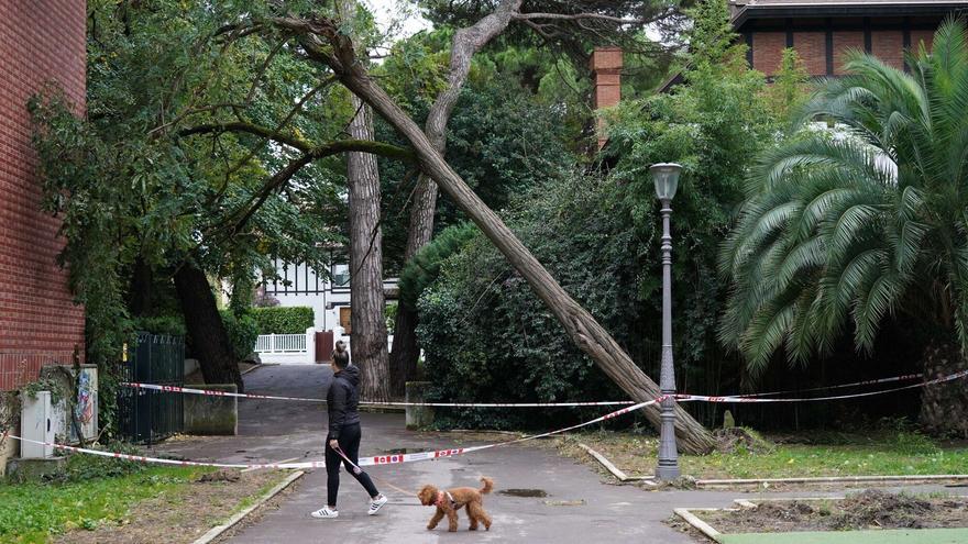 Getxo cerrará el domingo varias calles por la alerta naranja de viento