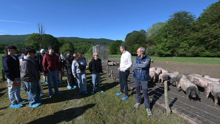 Así se forma la alta cocina del futuro: los estudiantes del Basque Culinary Center recorren Navarra