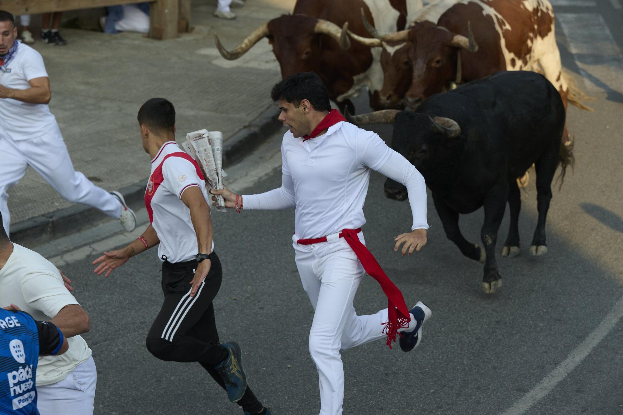 Fotos del segundo encierro de fiestas de Tafalla 2025