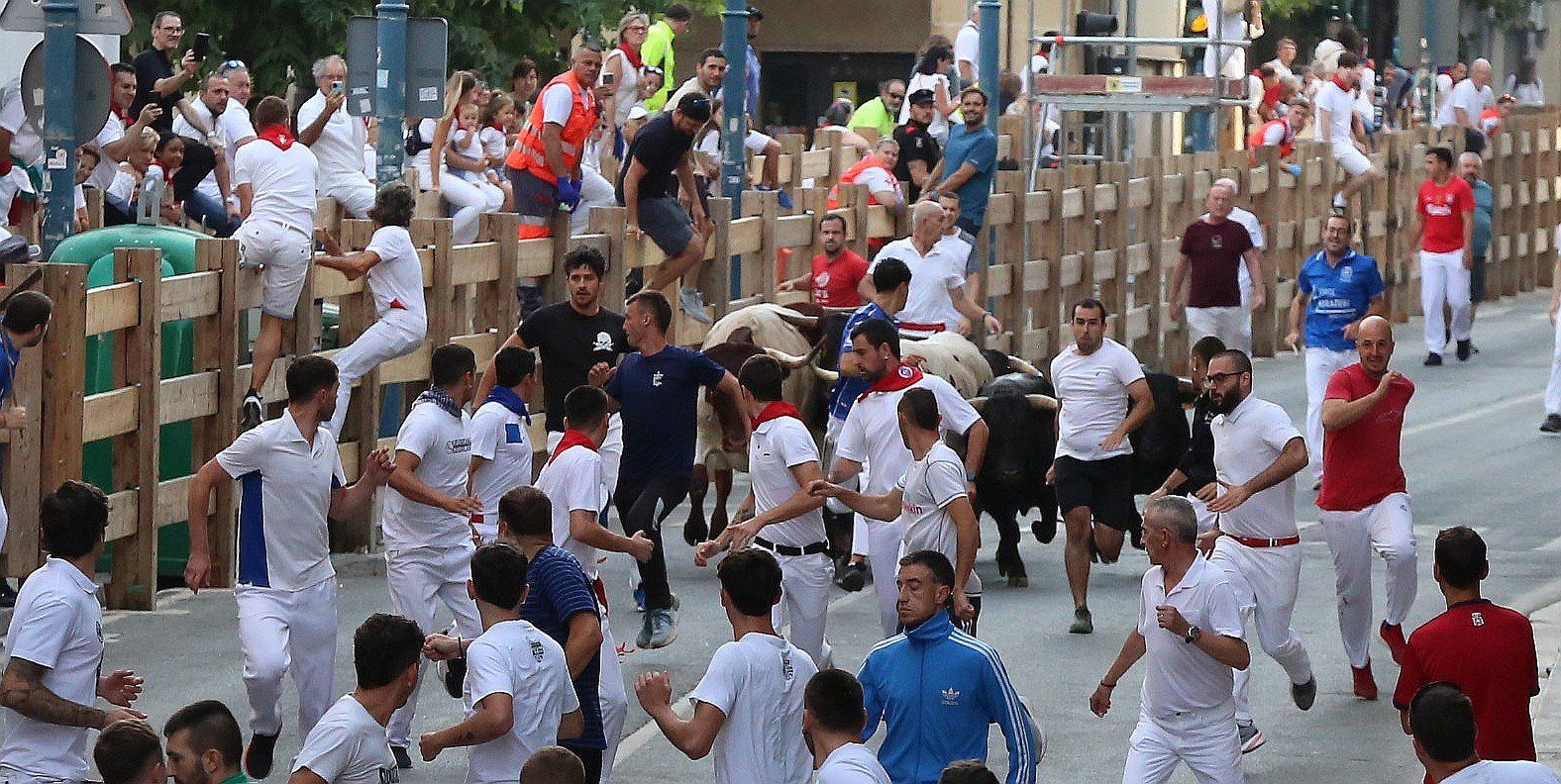 Fotos del cuarto encierro de fiestas de Tafalla 2025