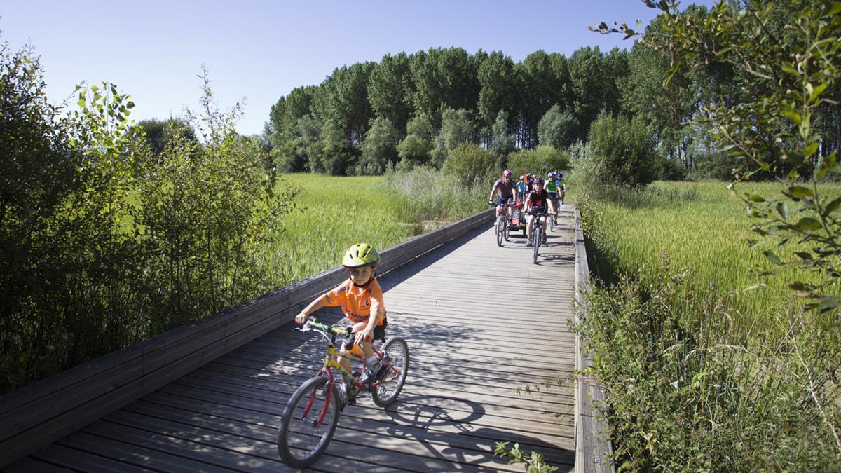 Bicicletas por el Anillo Verde