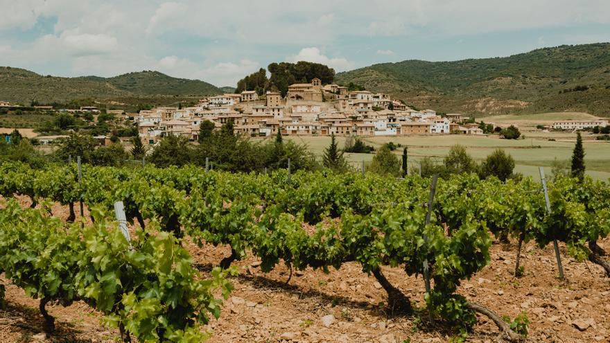 Bodega Eslava  apuesta por la biotecnología para su viñedo