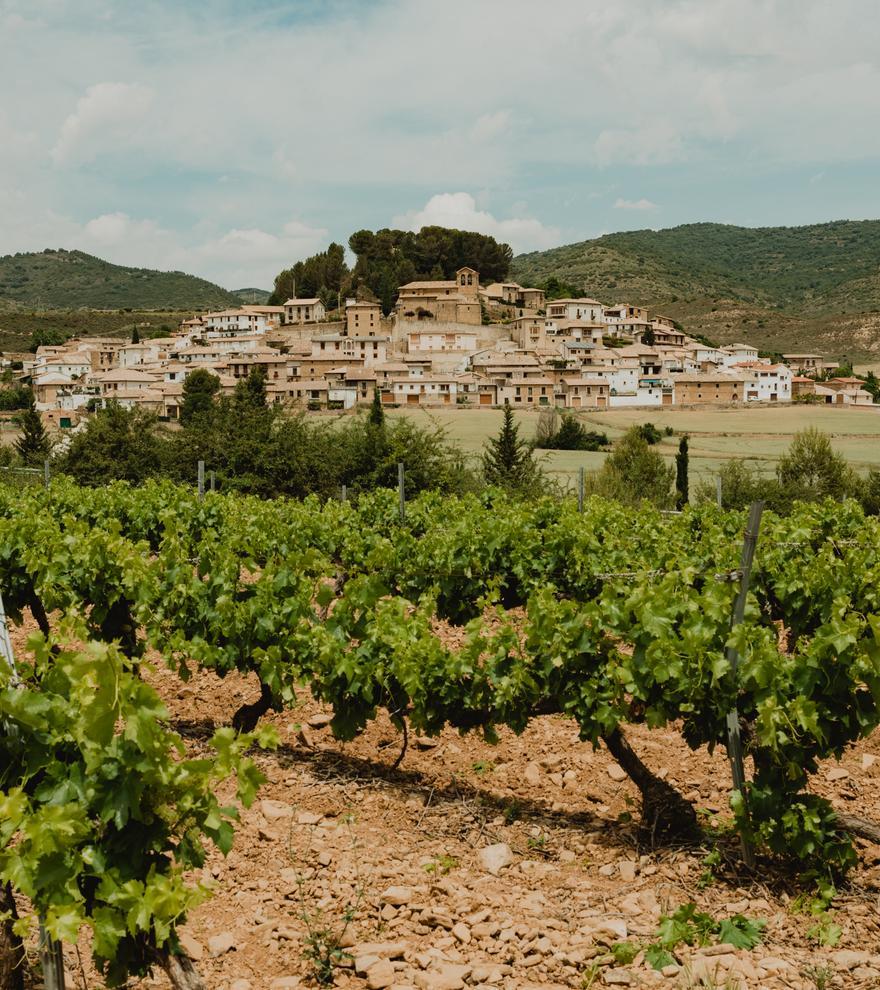 Bodega Eslava  apuesta por la biotecnología para su viñedo