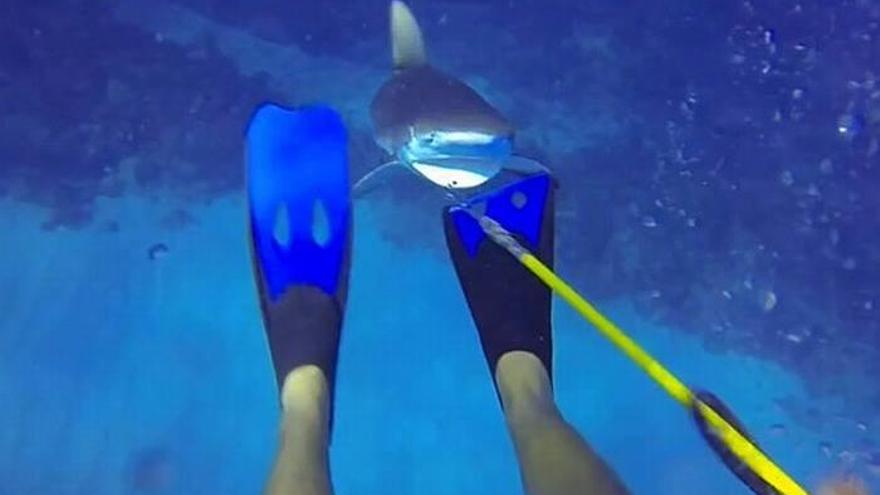 Un pescador es casi &quot;pescado&quot; por un tiburón