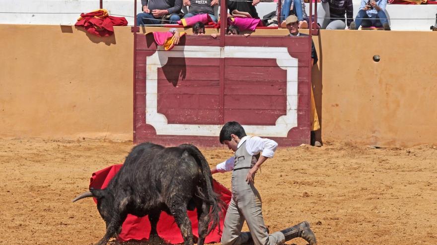 Polémica por la creación de un palco taurino infantil con monitores didácticos en Badajoz