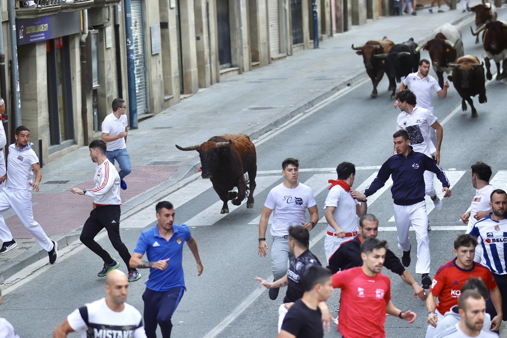 Fotos del quinto encierro de las fiestas de Tafalla 2025