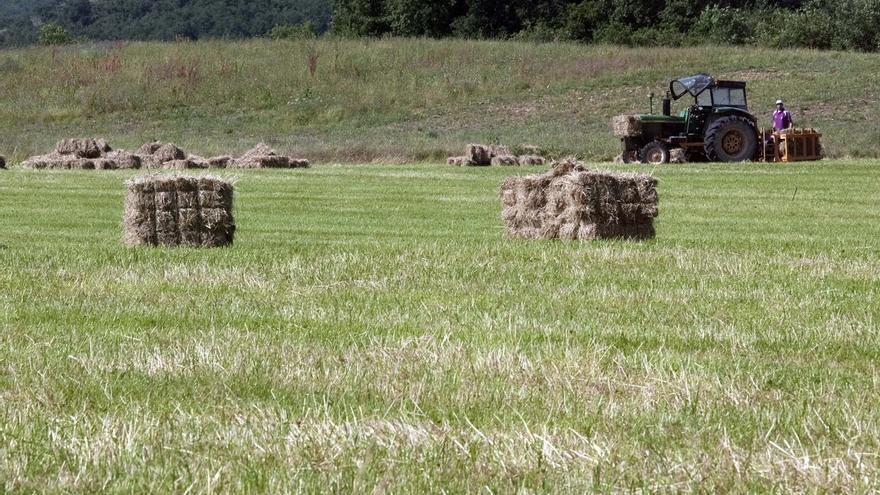 UAGA reclama proteger la tierra fértil ante los macroproyectos de energías renovables