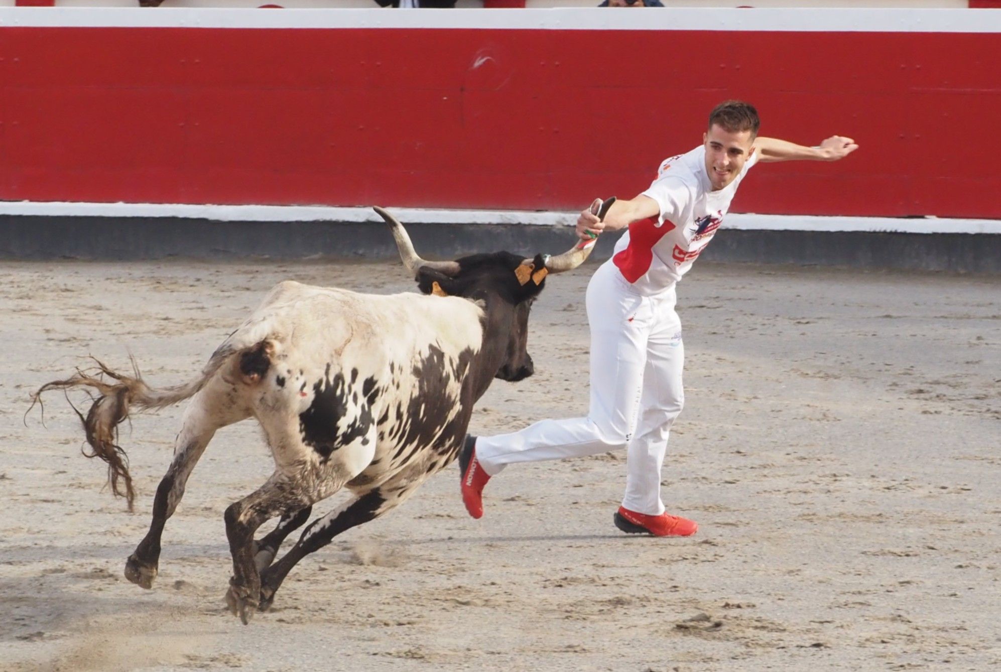 El extremeño Israel Pérez 'Ruso' se estrena con victoria en el Campeonato de Recortadores de Azpeitia