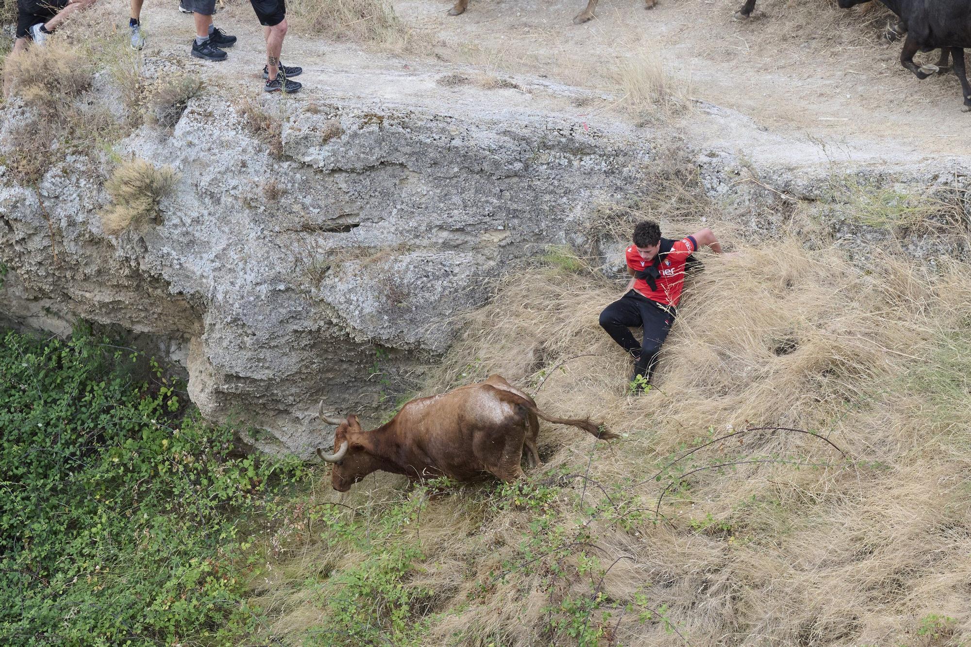 Fotos del tercer encierro del Pilón de Falces 2025