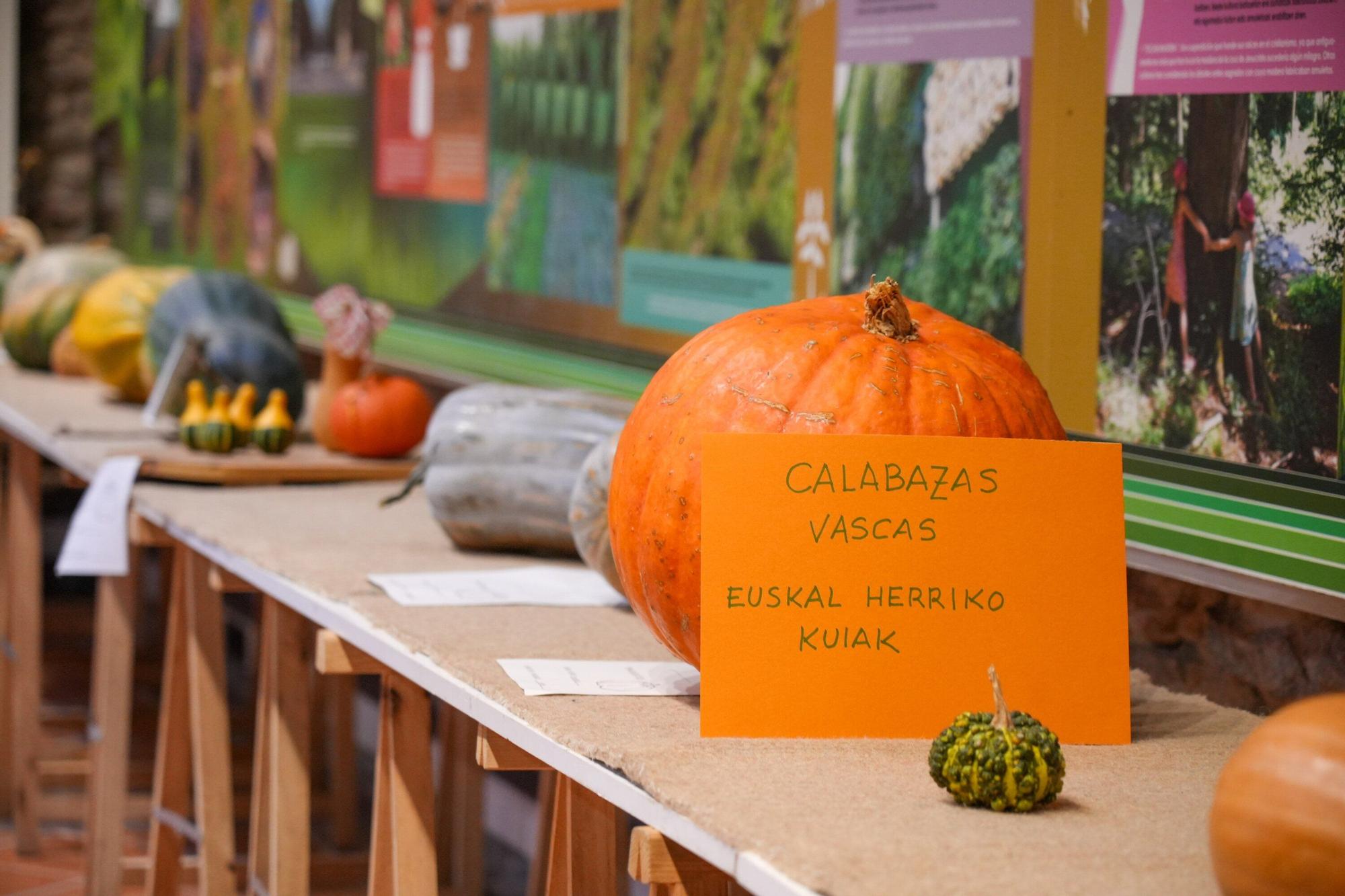 En imágenes: Exposición de calabazas en la Casa de la Dehesa