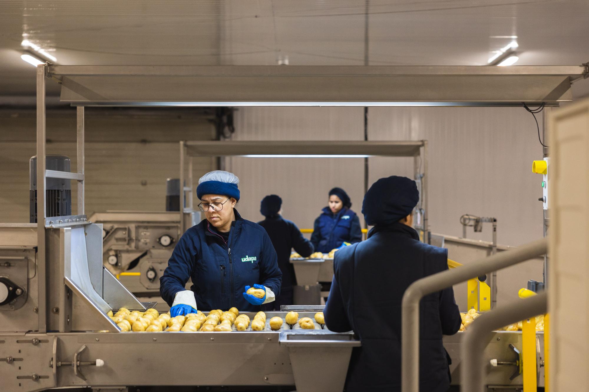Trabajadoras de UDAPA.jpg