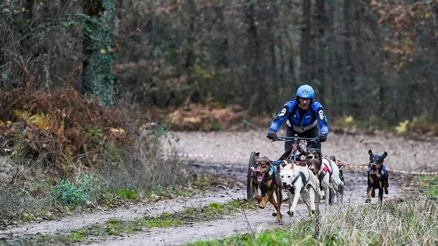 Se celebra la I Copa de España de Mushing Tierra en Buñuel