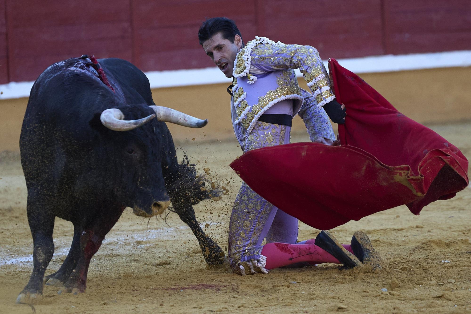 Fotos de la corrida de toros en Tudela con toros de Garzón Valdenebro