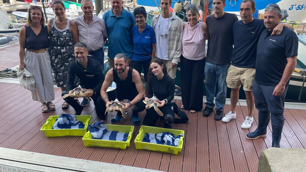 Pluma, Morla y Laida, las tres tortugas boba recuperadas en el Aquarium de Donostia