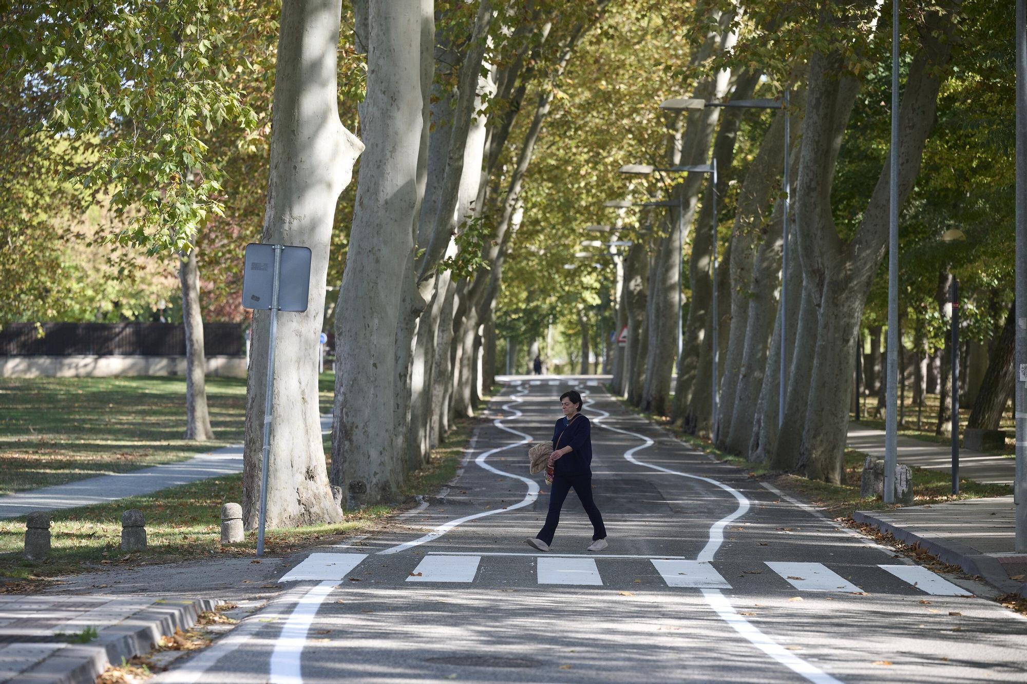 Fotos de las líneas serpenteantes de la carretera de la Universidad de Navarra