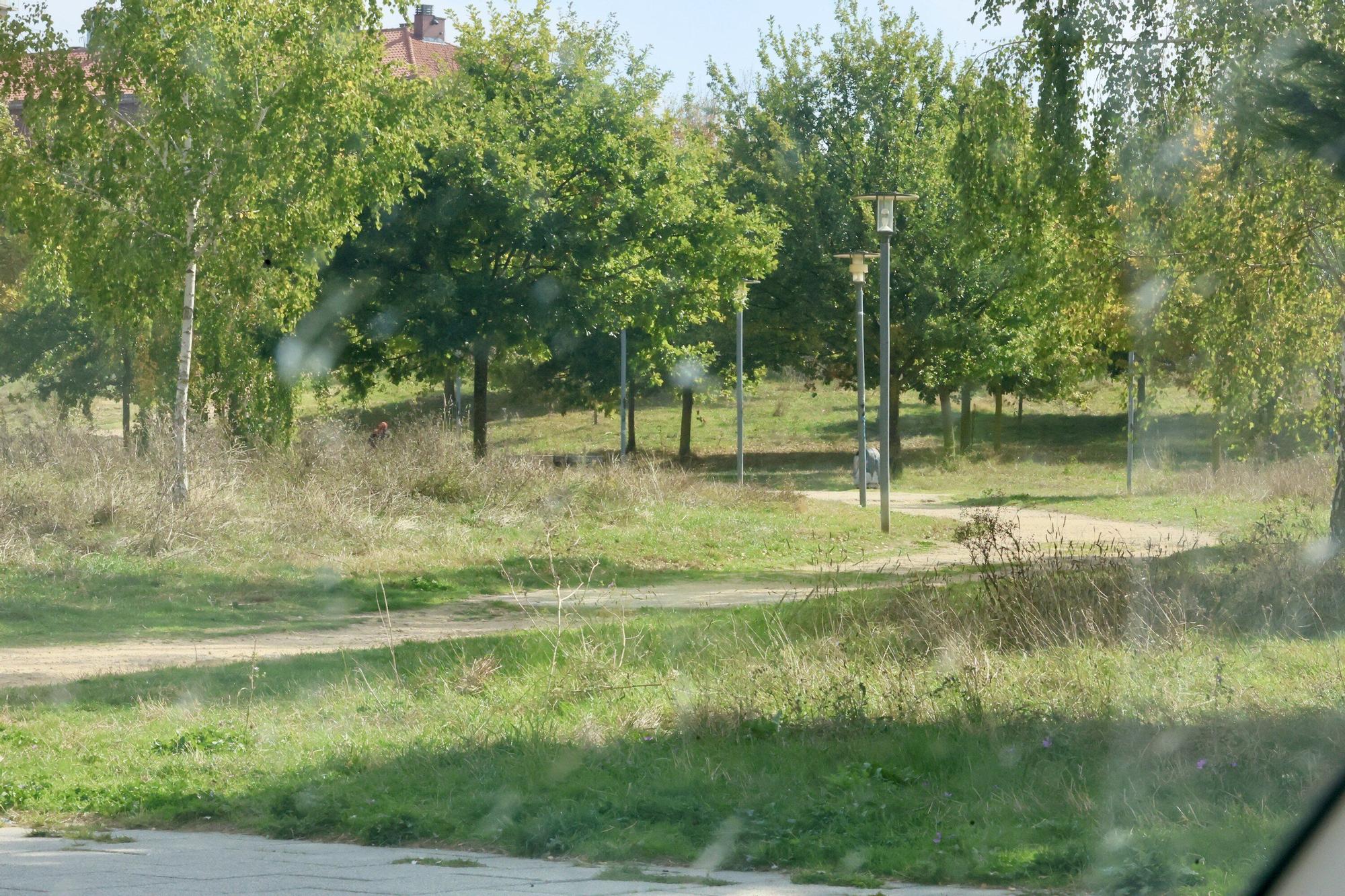 En imágenes: Vitoria-Gasteiz se prepara para adecentar el verde de la ciudad