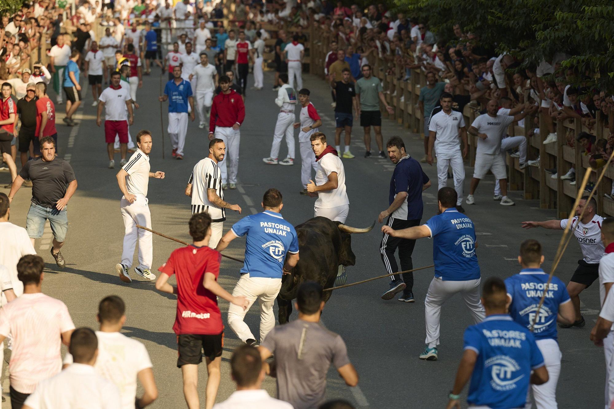 Fotos del primer encierro de fiestas de Tafalla