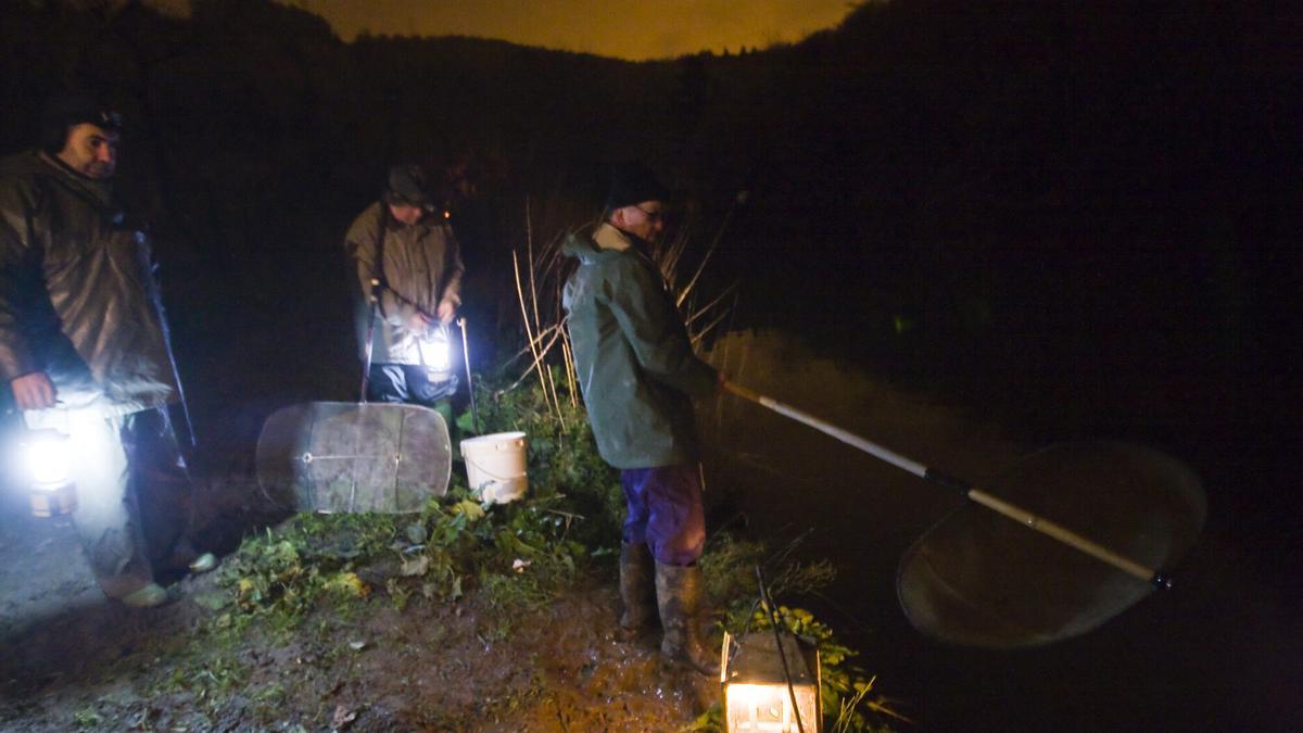 Pescadores pertrechados con cedazos y candiles para capturar angulas de noche.