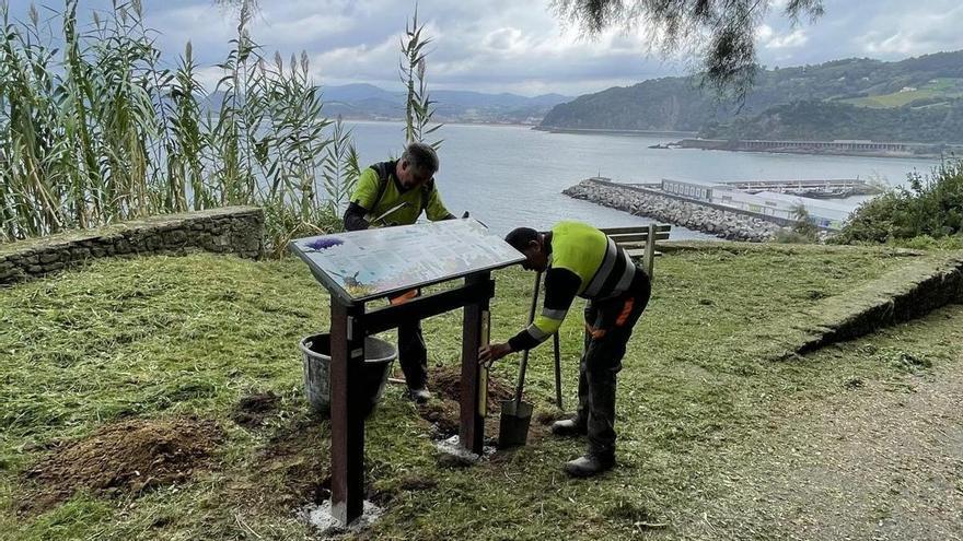 San Antón se &quot;acerca&quot; a Getaria