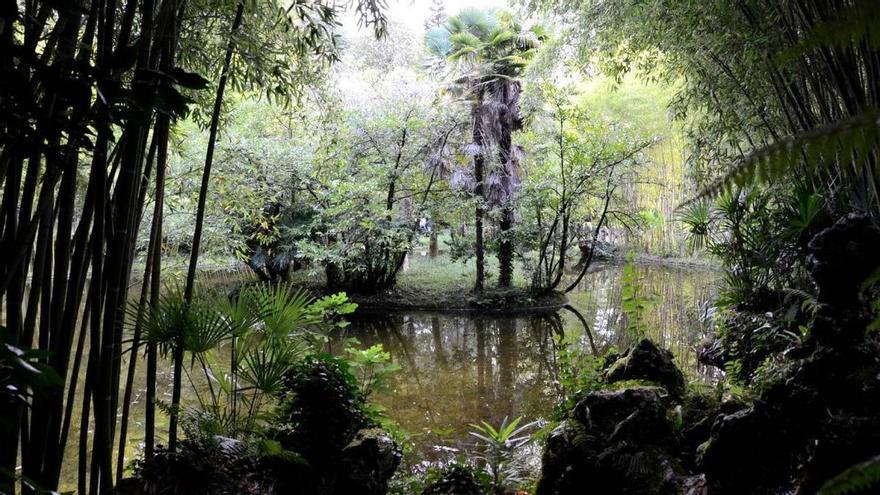 Uno de los castañares más bonitos &quot;para descubrir este otoño&quot; está en Navarra, según National Geographic